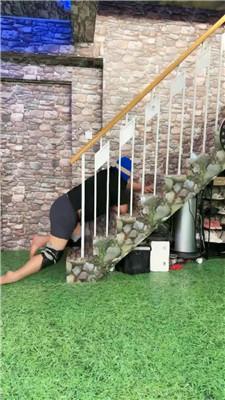 红焱双S-红高跟诱惑/狗链遛狗/抽耳光/喂咀嚼物/吊绑鞭打骑马 bf47155