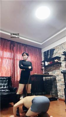 冷颜囚禁狗笼彻底犬化 JS241118-16