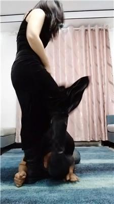 婉婷殿下御姐S-长靴踢踹/连环耳光抽蒙/鞭打双视角版 JS241118-29