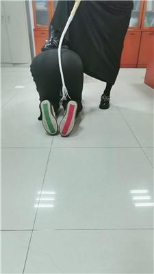 璃茉老师强迫小三做我的母狗 JS241118-22