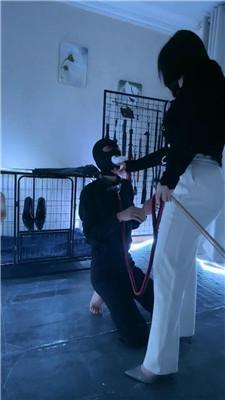 可馨大大藤条鞭打/赏赐舔圣水 bf47144