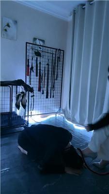 可馨大大藤条鞭打/赏赐舔圣水 bf47144