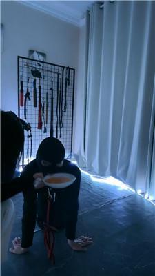 可馨大大藤条鞭打/赏赐舔圣水 bf47144