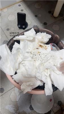 uus物化训练-喝圣水/强迫吃厕纸/内裤套头 bf47306