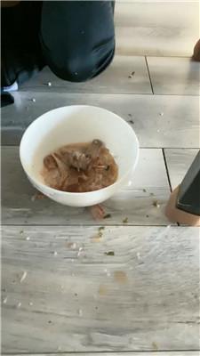 Esse殿下桌底视角-脏鞋白袜踩踏喂食 bf47310