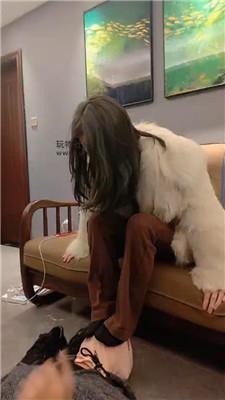 猴歌连环踢裆/黑棉袜捂脸窒息/皮鞋踩踏 bf47444