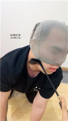 紫琳踩踏蛋糕喂食-给狗过不一样的生日 JS241126-12