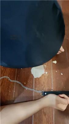 沐沐大大重度鞭打/赏赐圣水舔脏鞋 bf47418