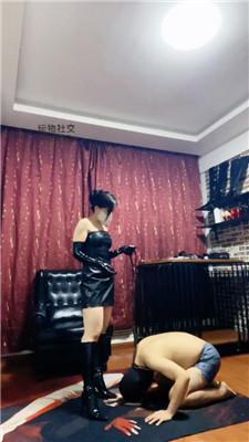 【爱秀套图】【冷颜】关狗笼/清理长靴/狗链遛狗/脚插嘴/品尝丝袜圣水JS241128-14