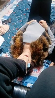 伪娘和素人变装奴舔酸臭jio JS241129-44