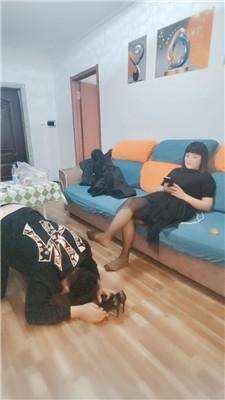 大庆S高跟黑丝踩虐脚下奴完整版JS241129-39