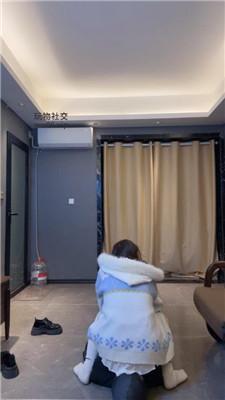 猴歌皮鞋白袜跳踩/坐脸窒息 bf47799