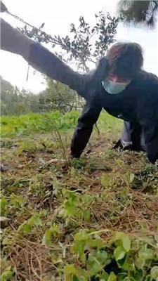 红颜户外-脏长靴S-逮住跟踪狂虐废 bf47757