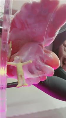 【爱秀套图】【Verin维因】踩小人瑜伽裤史莱姆241210-5