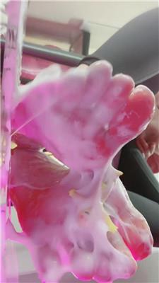 Verin维因踩小人瑜伽裤史莱姆    241210-5