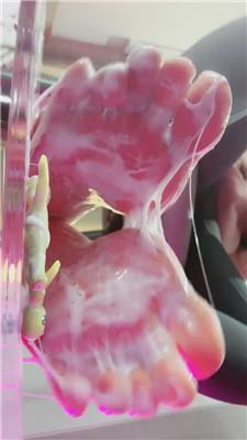 Verin维因踩小人瑜伽裤史莱姆    241210-5