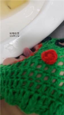 Qi7绿帽老公居然喜欢舔马桶 JS241210-45