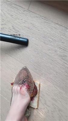 琪琪sama口水喂食颜设    241209-1