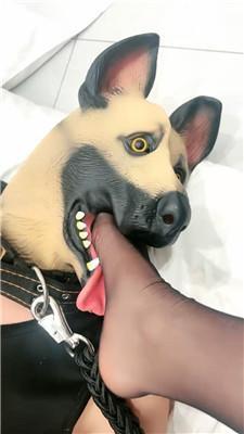 小原妈妈黑丝高跟碾压踩狗奴 JS241210-1