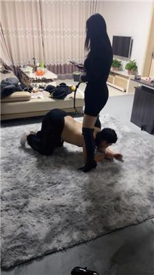 林夕跪舔脏鞋肉丝美腿/重度鞭打 bf47987