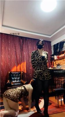 冷颜母畜-遛狗犬化/高跟黑丝狂舔 JS241207-42