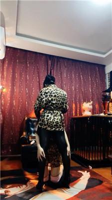 冷颜母畜-遛狗犬化/高跟黑丝狂舔 JS241207-42