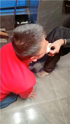 梦露吃主人咀嚼物/内裤塞嘴/吃厕纸/sp bf47945