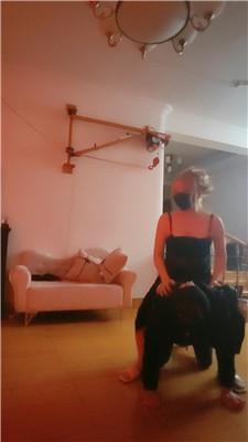 魔鬼天使囚禁狗笼/捆绑全包窒息/骑马遛狗 JS241207-5