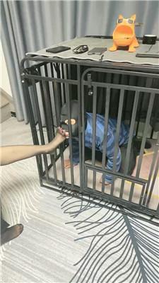 【爱秀套图】【梦露】双S双M-重度虐打/捆绑踢踹/舔高跟黑丝JS241207-8