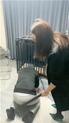 梦露双S双M-重度虐打/捆绑踢踹/舔高跟黑丝  JS241207-8