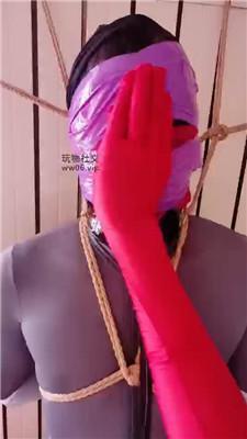 妃妃五花大绑囚禁狗奴才上 JS241222-11