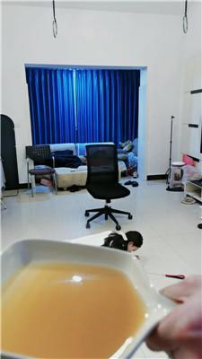 媚娘工作室铆钉高跟S-虐待羞辱超美女神 bf48478