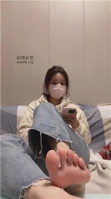 香芋朱朱灯    241216-11