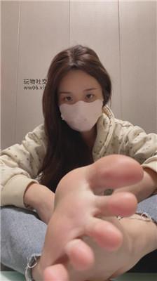 香芋朱朱灯    241216-11