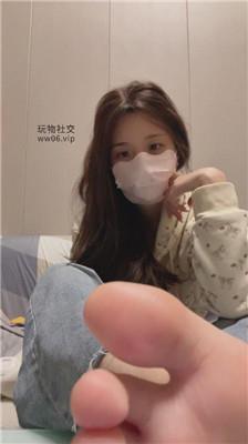 香芋朱朱灯    241216-11