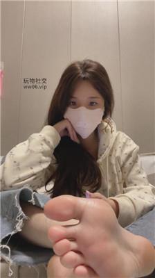 香芋朱朱灯    241216-11