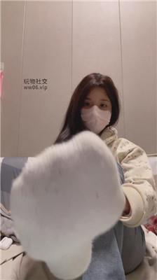 香芋朱朱灯    241216-11