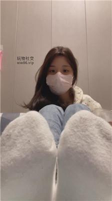 香芋朱朱灯    241216-11