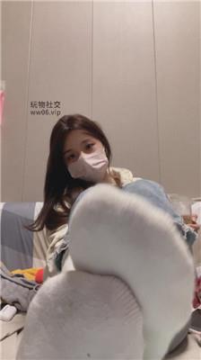 香芋朱朱灯    241216-11