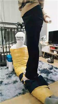 百变小妈全包藤条鞭打木乃伊狗双视角版 JS241231-15