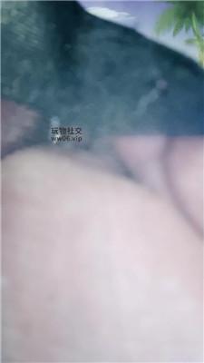 女王S五花大绑口球塞嘴鞭打 JS241231-21