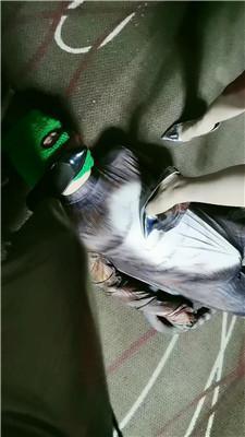 滢滢双S-囚禁狗笼/舔臭脚/鞭打踩踏/转胯狗爬双视角版JS241231-29