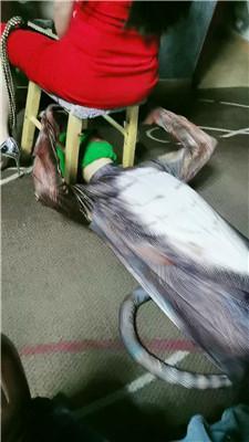 滢滢双S-囚禁狗笼/舔臭脚/鞭打踩踏/转胯狗爬双视角版JS241231-29