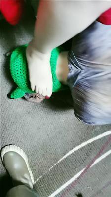 滢滢双S-囚禁狗笼/舔臭脚/鞭打踩踏/转胯狗爬双视角版JS241231-29