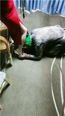 滢滢双S-囚禁狗笼/舔臭脚/鞭打踩踏/转胯狗爬双视角版JS241231-29