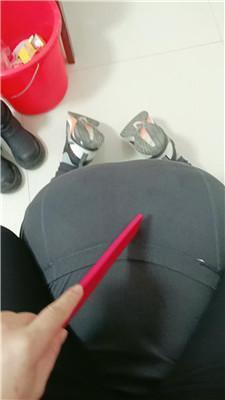 内蒙一一狗链遛狗爬行/全体重踩 JS250102-10