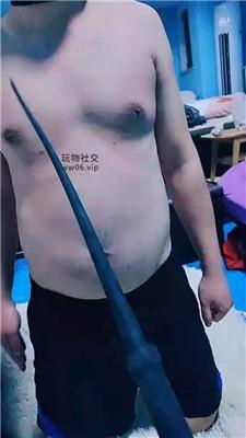 山兔莓骑马/全体踩踏 JS241231-18