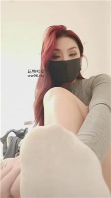 黛帝脏臭白棉袜    241229-2