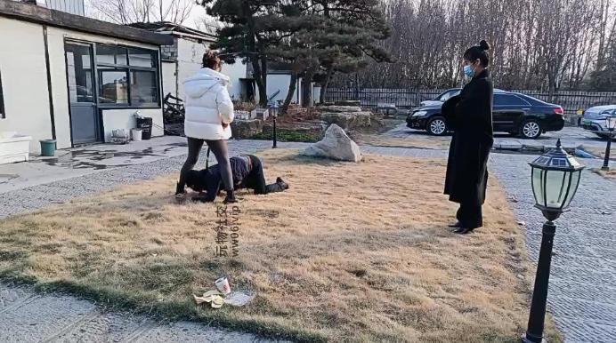 汝野户外遛狗爬行/清理脏鞋子双视角版 JS241230-19