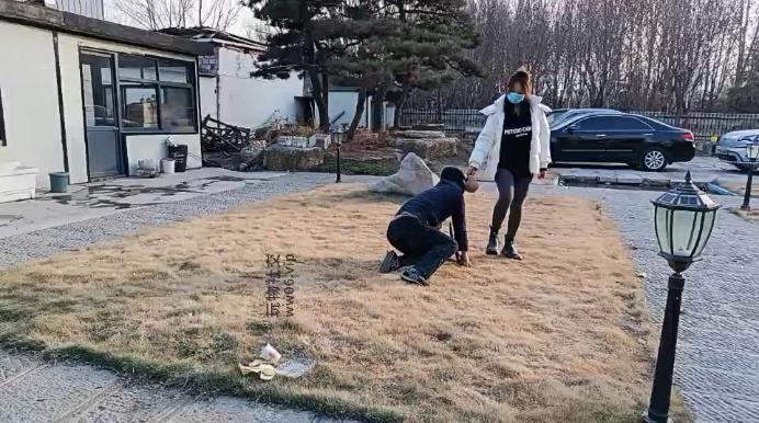 汝野户外遛狗爬行/清理脏鞋子双视角版 JS241230-19